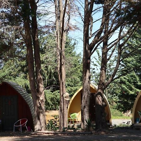 Hamilton Golf Lodge Dış mekan fotoğraf