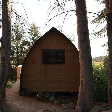 Hamilton Golf Lodge Dış mekan fotoğraf