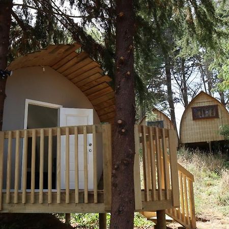 Hamilton Golf Lodge Dış mekan fotoğraf