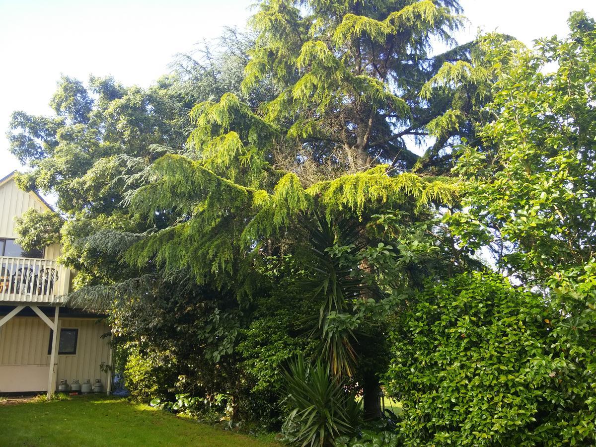 Hamilton Golf Lodge Dış mekan fotoğraf