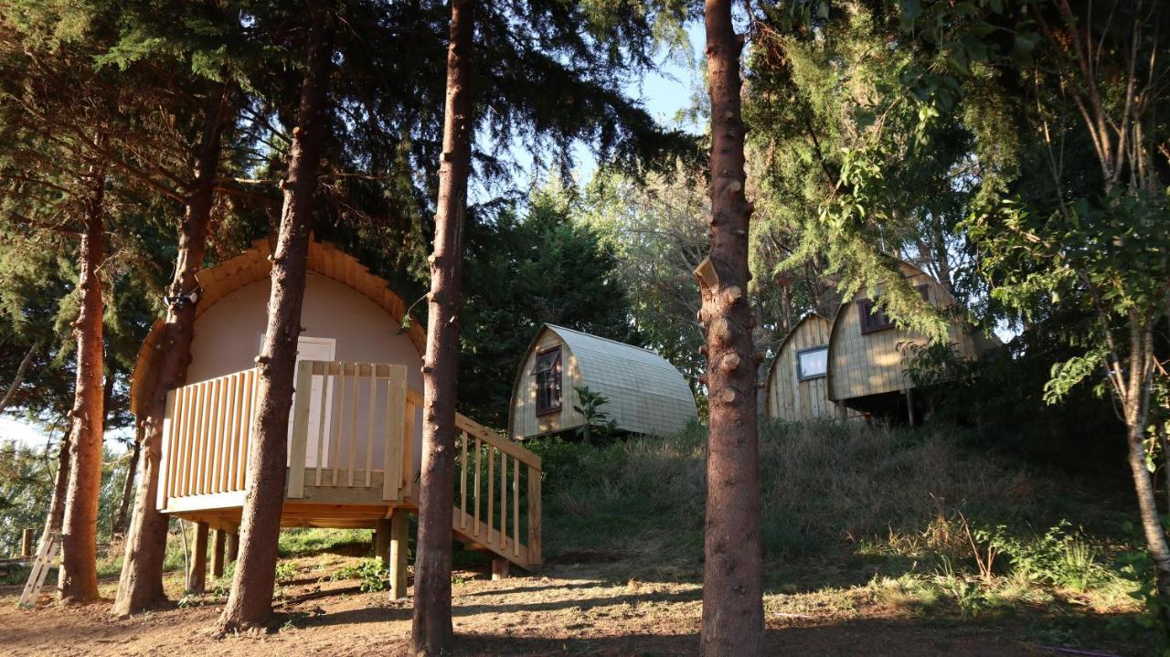 Hamilton Golf Lodge Dış mekan fotoğraf